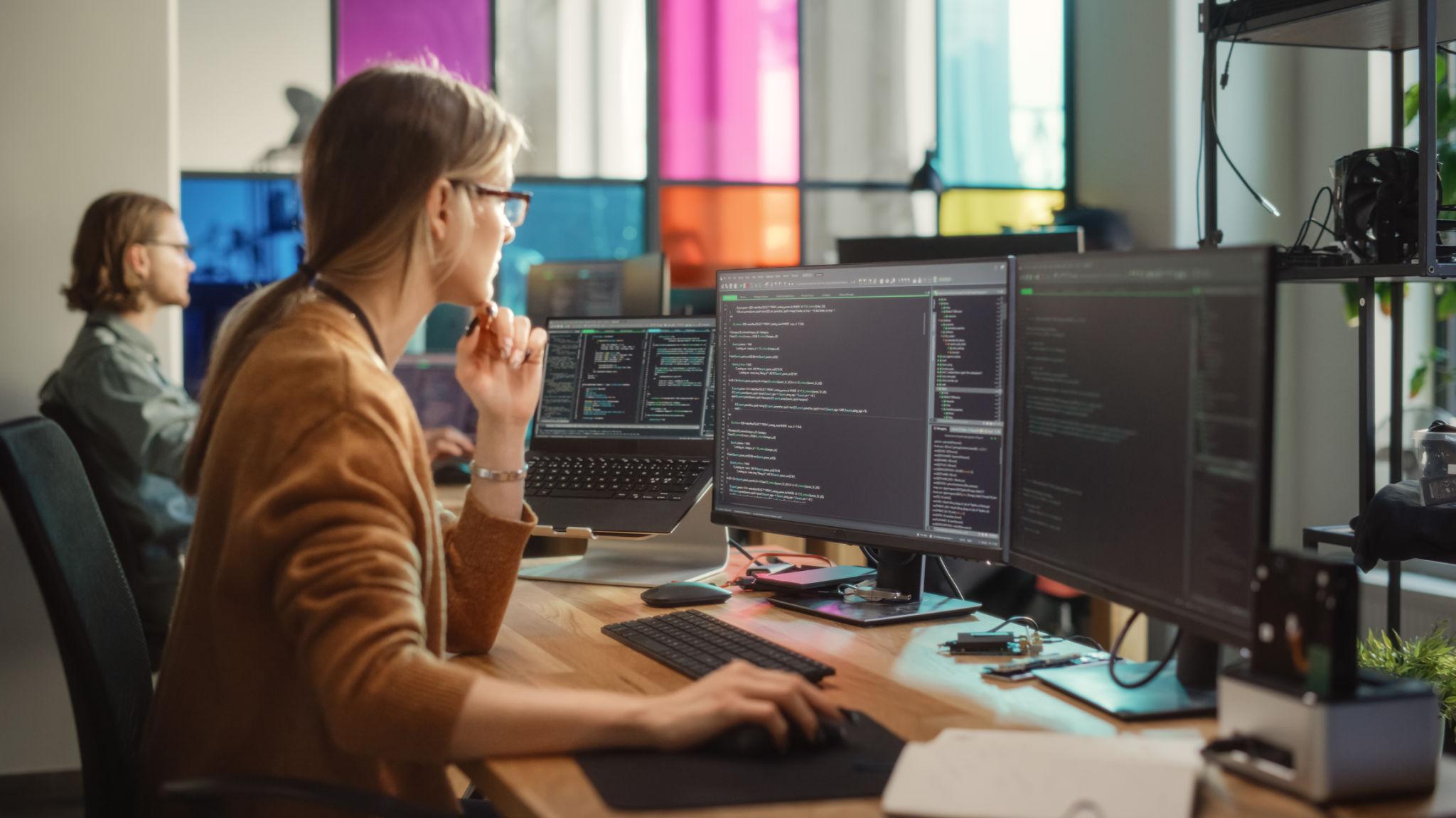 Software Development - Image 4